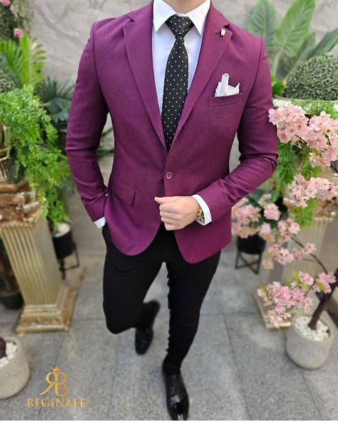 Veste Blazer Violet-Homme